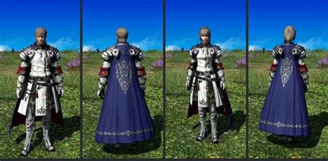 armour paladin lv 60 ffxiv|final fantasy 14 paladin leveling guide.